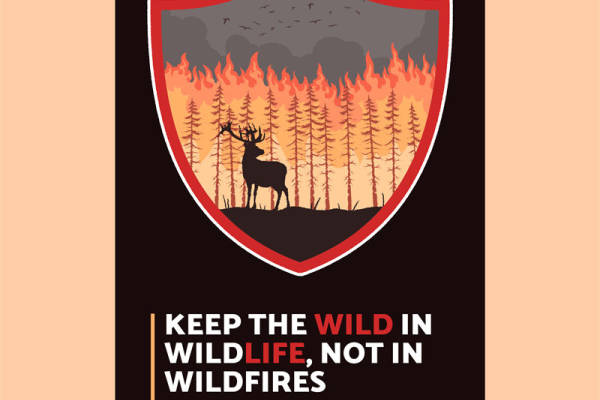 保护自然平衡：野生动物与森林火灾的裁片印花服装