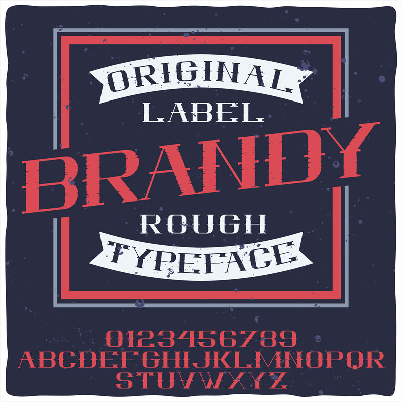 复古风格'BRANDY'裁片印花服装印花设计