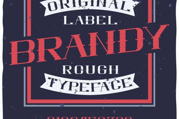 复古风格'BRANDY'裁片印花服装印花设计