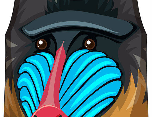 时尚个性裁片印花服装：独特卡通鸟图案印花背心