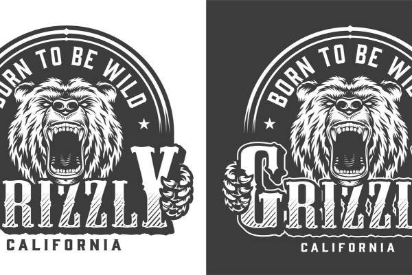 狂野格里兹利熊印花：加州原野风格服装裁片印花