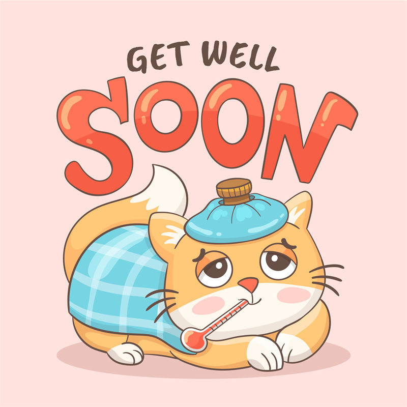 温馨治愈系猫咪图案，打造专属你的舒适服装