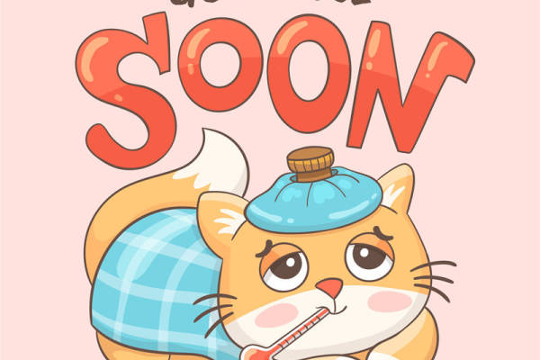 温馨治愈系猫咪图案，打造专属你的舒适服装