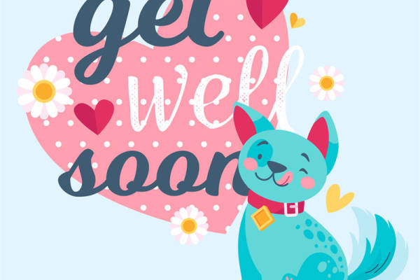 可爱猫咪图案裁片印花，打造轻松愉悦的服装风格