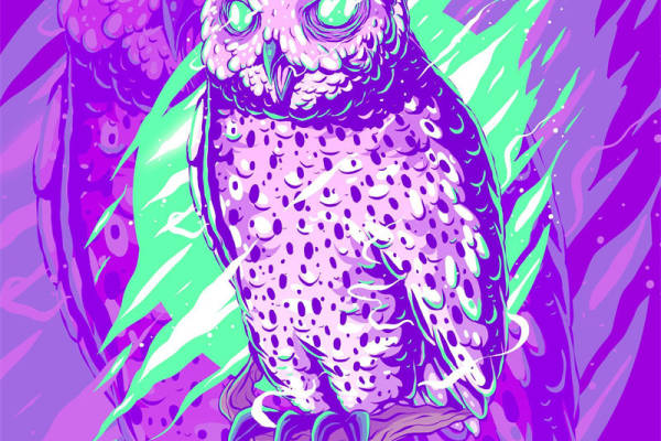 梦幻紫绿渐变夜鹰裁片印花服装