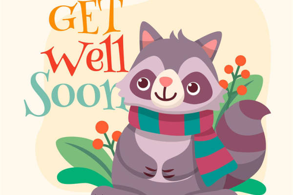 温暖冬日，可爱浣熊图案服装印花设计