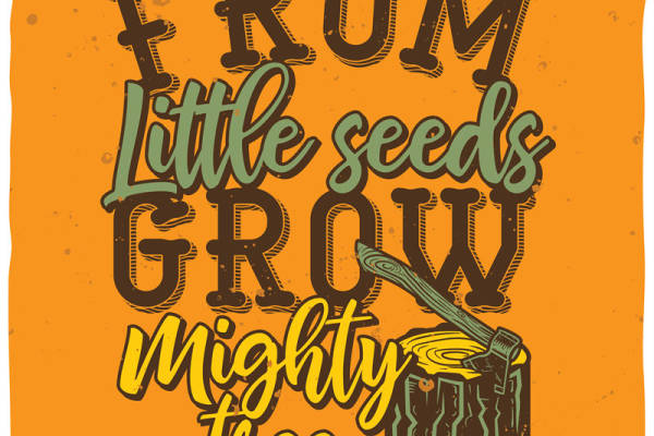 从种子到大树：裁片印花服装的生长故事