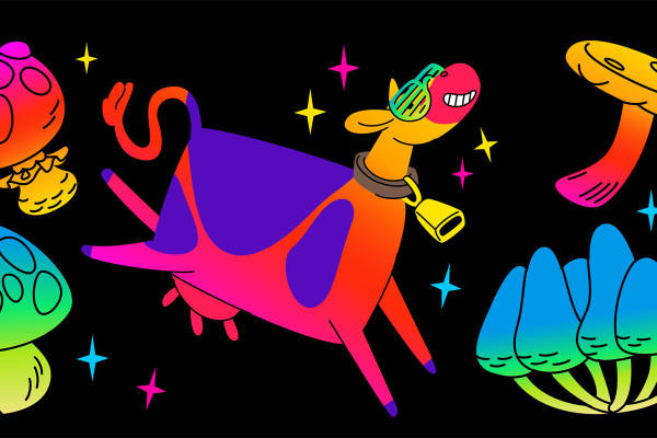 创意裁片印花服装：个性设计引领潮流