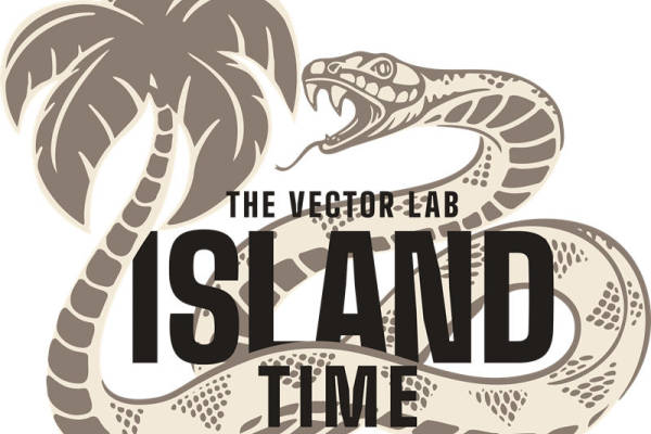 热带风情裁片印花，打造个性服装