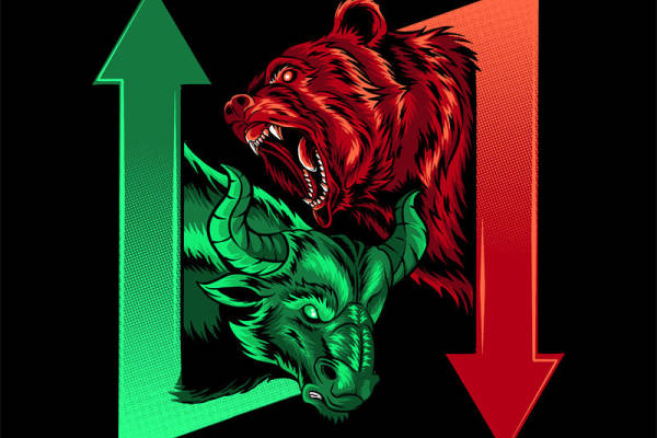 熊牛对决：裁片印花服装印花设计，时尚与力量的完美融合