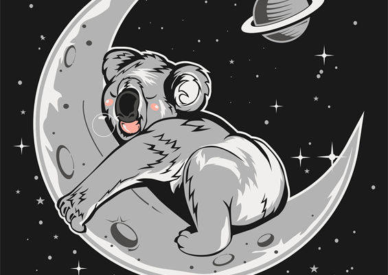 萌趣考拉月球印花图案，打造个性服装