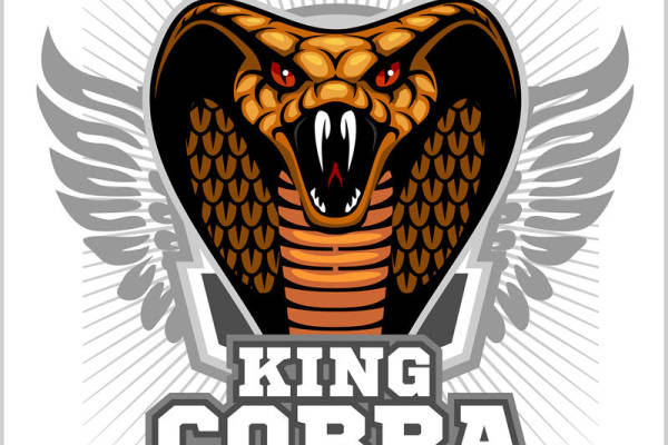 蛇头图案裁片印花设计，时尚个性服装印花