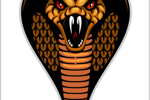 蛇头图案裁片印花，服装印花新选择