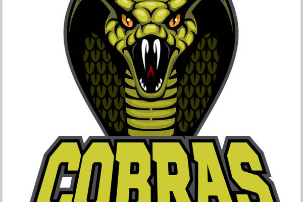 蛇头图案服装印花裁片印花设计素材