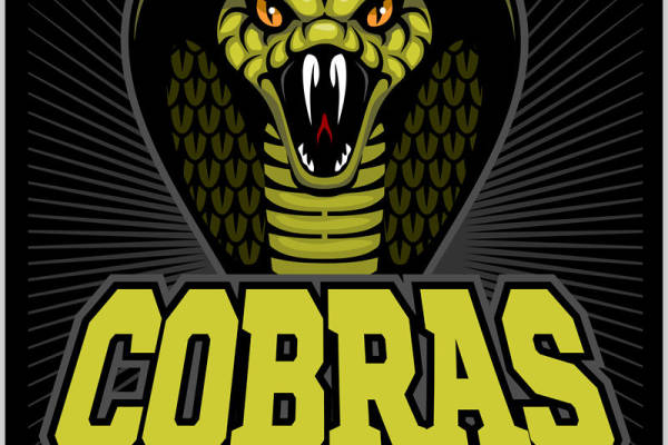 酷炫毒蛇图案服装印花裁片设计