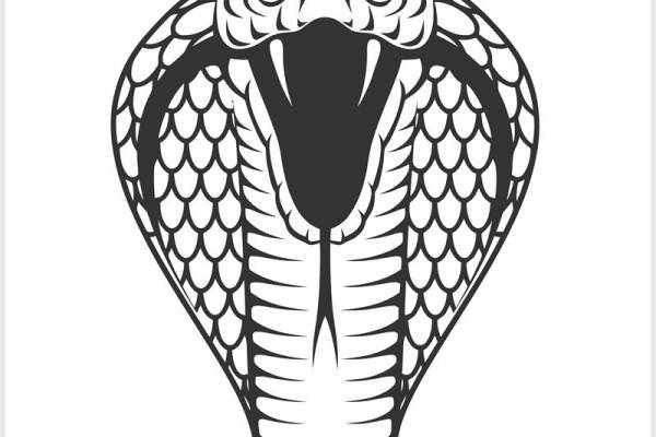 蛇头图案裁片印花设计，时尚百搭服装印花素材