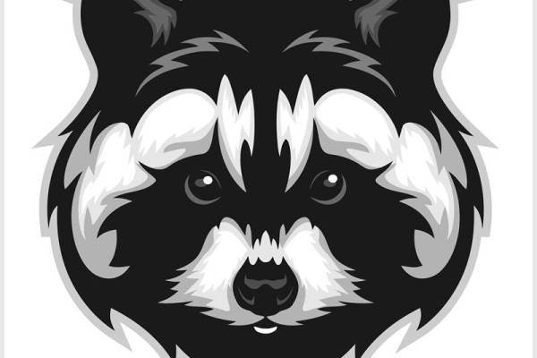 黑白色调的浣熊印花图案，打造个性服装裁片