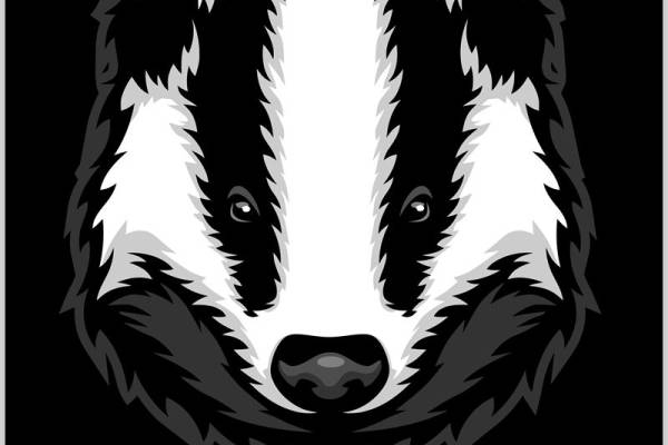 黑白色调的可爱熊头印花图案，适合服装印花和裁片印花