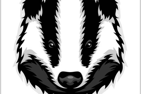 酷炫黑白色调动物图案服装印花裁片