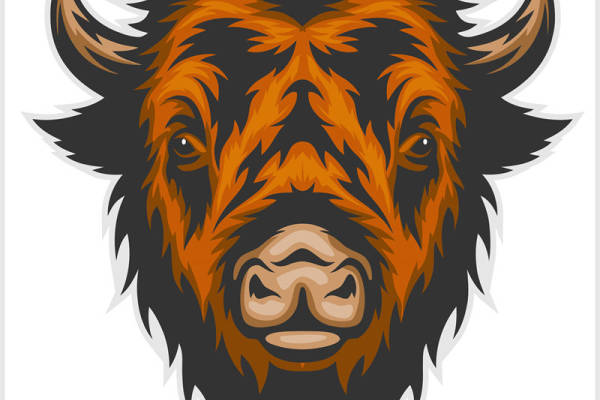 狂野牛头图案：服装印花裁片设计灵感