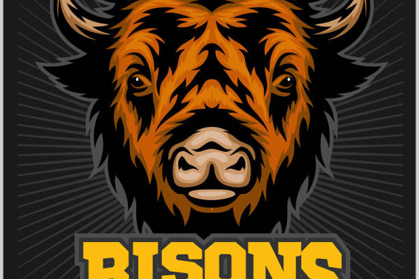 野性力量:牛头图案服装印花设计