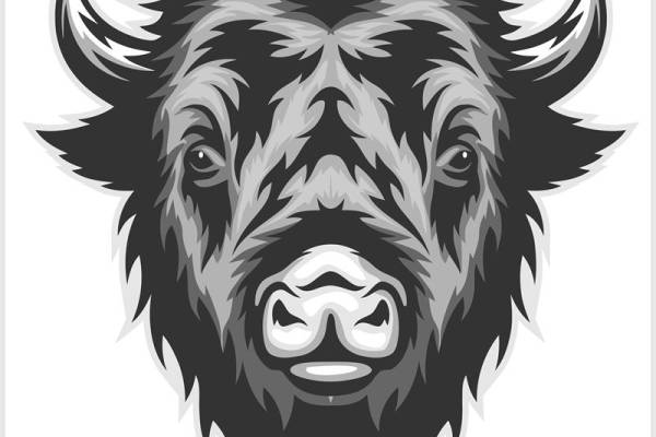 野性力量：牛头图案服装印花裁片设计