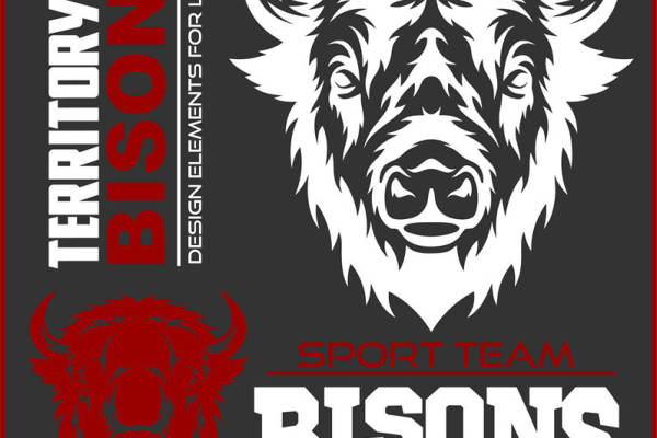 狂野牛头图案：服装印花裁片设计灵感