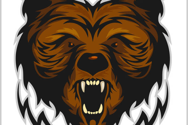 狂野熊头印花图案,服装印花裁片设计灵感