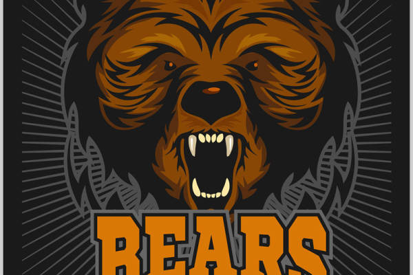 猛兽熊头裁片印花，服装印花新选择