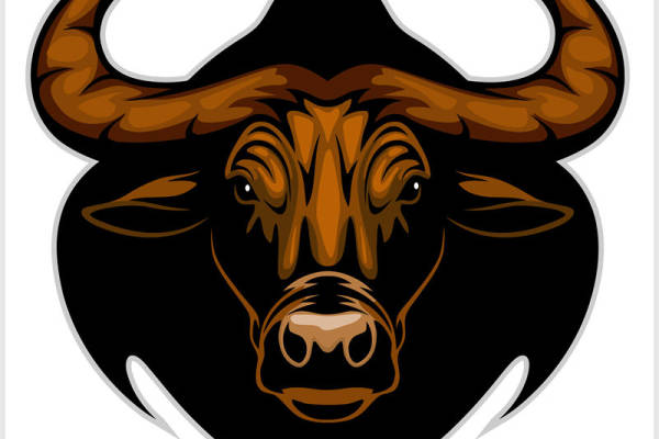 牛头图案裁片印花：服装印花新选择