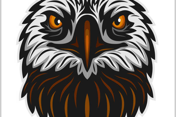 深邃鹰眼图案服装印花裁片印花设计