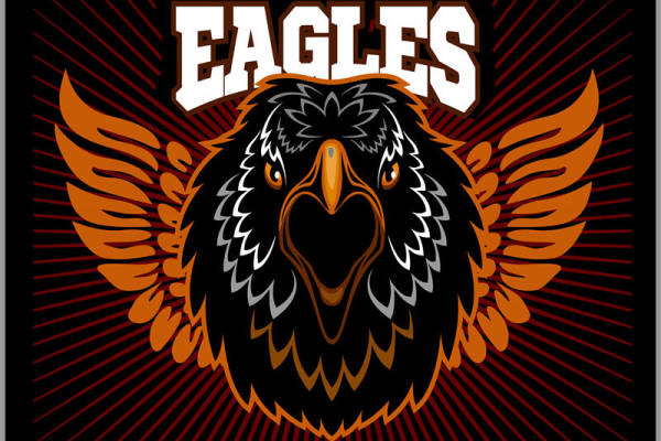 鹰头图案裁片印花，打造个性服装