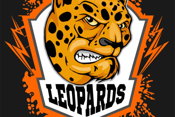 豹纹裁片印花设计，服装印花新选择