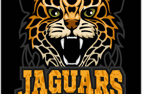 豹纹图案裁片印花，打造个性服装