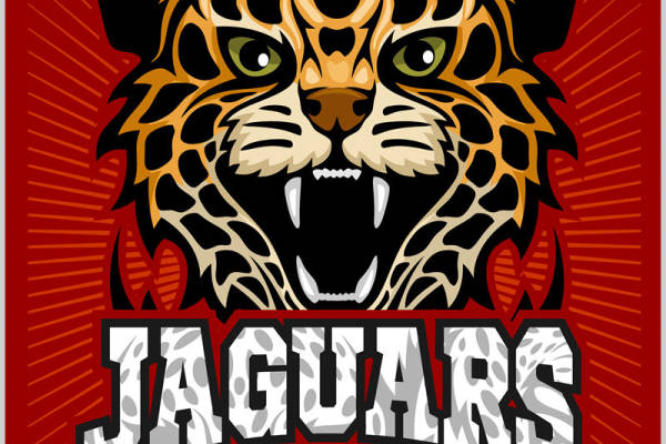 豹纹图案服装印花裁片设计灵感