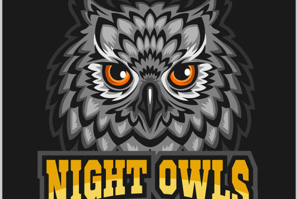 夜鹰猫头鹰图案裁片印花，时尚运动服装印花素材