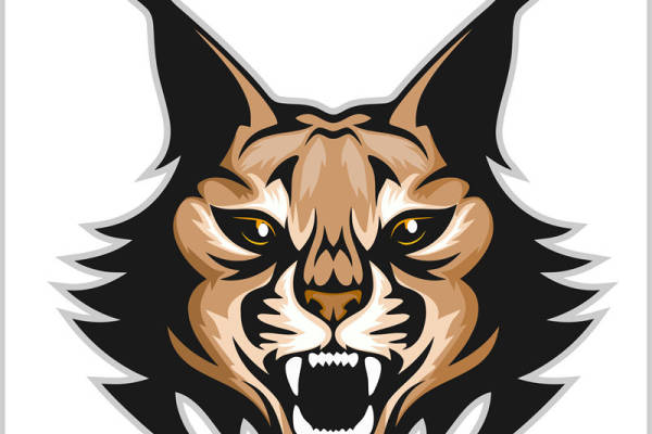 狂野狼头裁片印花：服装印花新选择