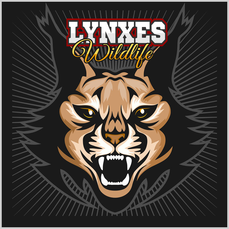 野性猛兽纹样：Lynxes Wildlife服装印花