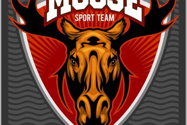 摩鹿加风格服装印花图案：独特纹理与时尚设计