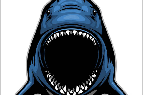 鲨鱼咬口裁片印花，服装印花新选择