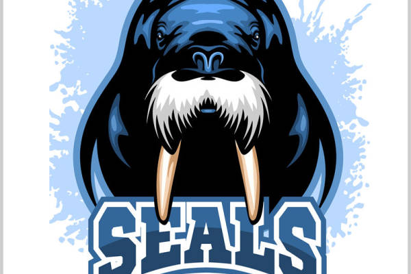 海洋猛兽海象印花：独特纹理与风格的服装印花新选择