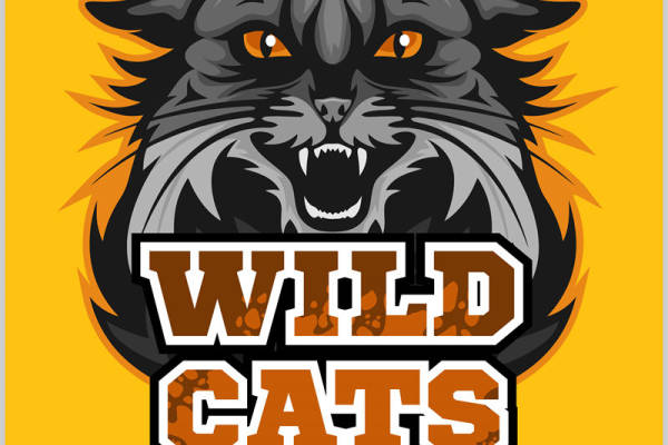 野猫图案裁片印花，时尚运动风服装印花