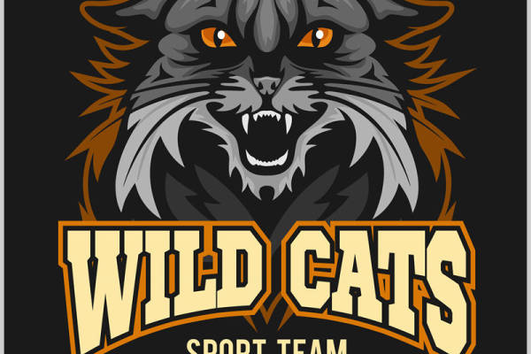 野猫图案裁片印花，时尚运动风服装印花设计