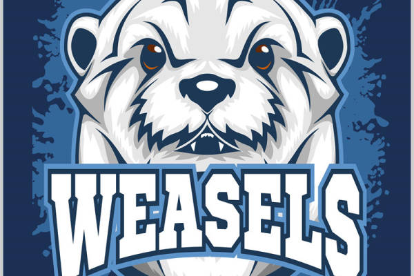 卡通熊头像裁片印花，时尚服装印花设计