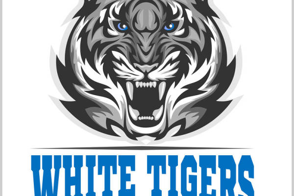 老虎头像裁片印花图案，适用于服装印花设计