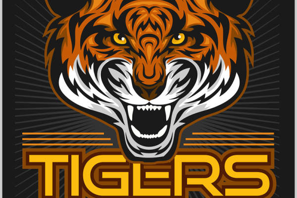 老虎图案裁片印花,服装印花设计灵感