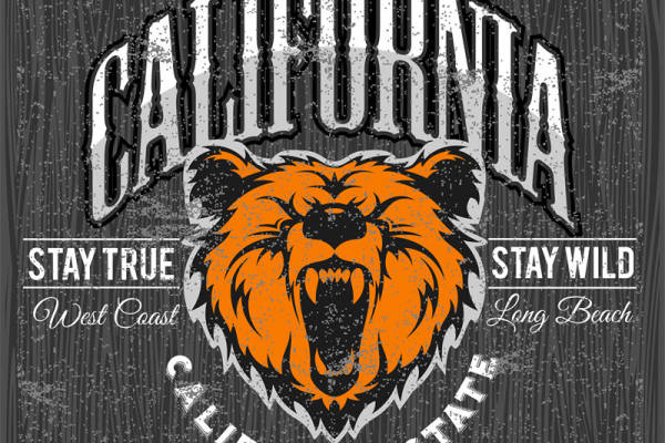 加州狂野熊头印花图案，打造个性服装