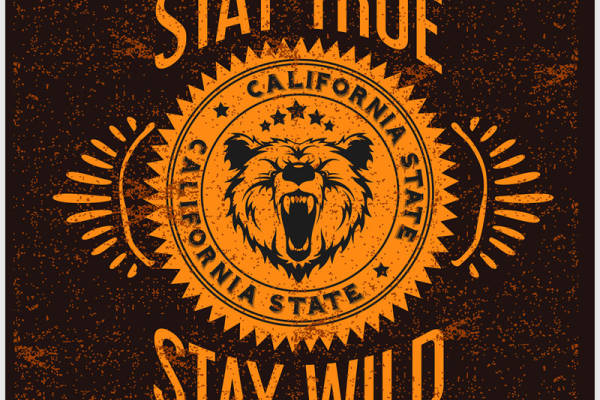 复古加州熊头印花图案:服装印花裁片设计灵感