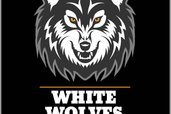 狼头图案裁片印花，适合服装设计