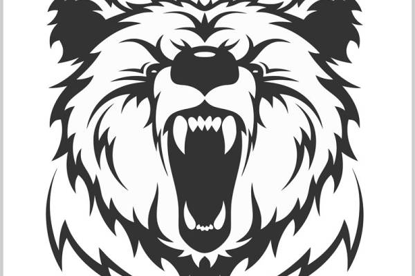 狂野熊头裁片印花：服装印花设计灵感